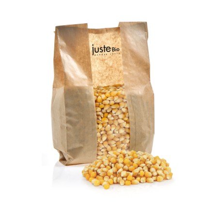 MAIS A POP CORN FRANCE BIO