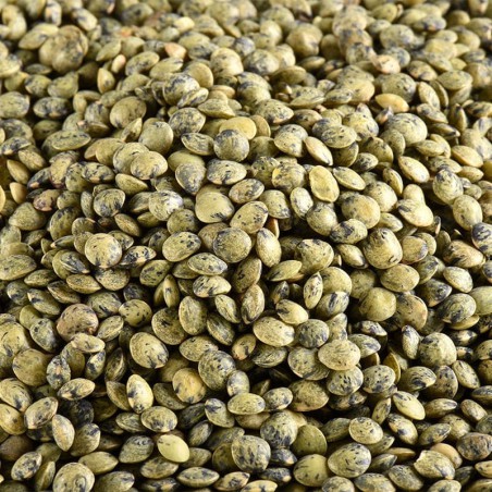 LENTILLES VERTES FRANCE BIO LENTILLES VERTES FRANCE BIO