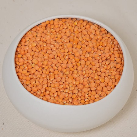 LENTILLES CORAIL BIO