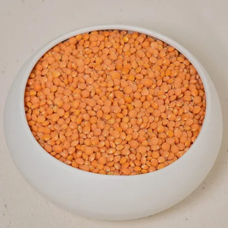 LENTILLES CORAIL BIO