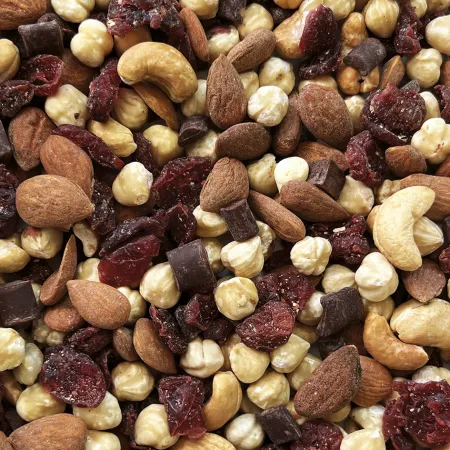 MELANGE NOIX, CRANBERRIES, CHOCOLAT BIO