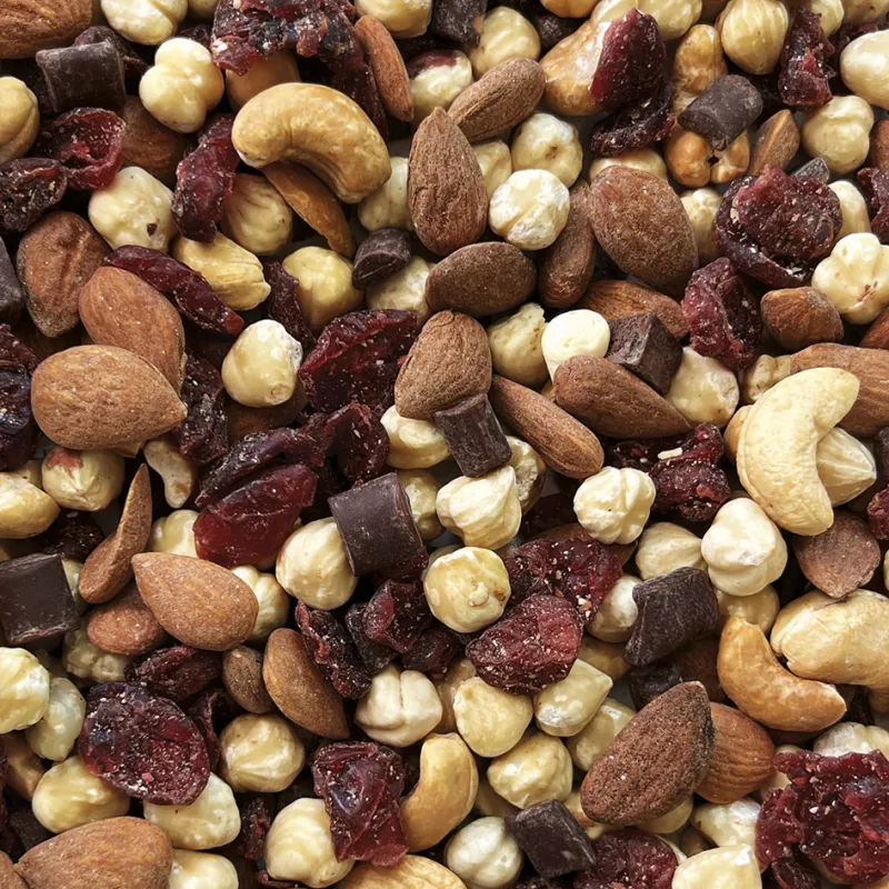 MELANGE NOIX, CRANBERRIES, CHOCOLAT BIO